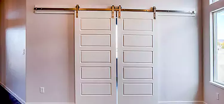 Glass Barn Door with Installation Hardware Kit Lenoir