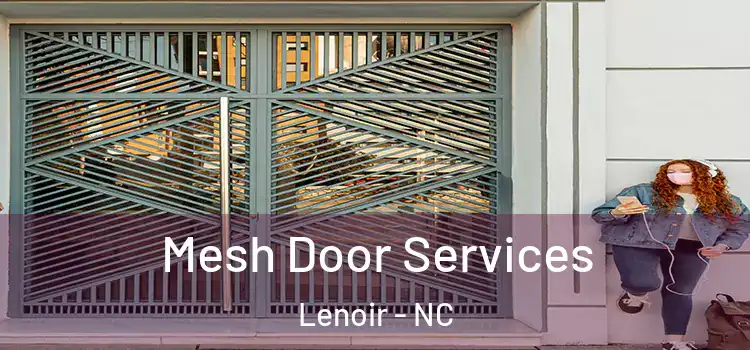  Mesh Door Services Lenoir - NC